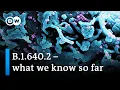 Download Lagu Even more mutations than omicron: Is the new COVID variant a cause for concern? | DW News