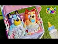 Download Lagu Bluey Baby \u0026 Bingo Baby | Bluey Toys