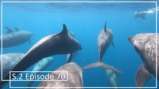 Setting Sail from Costa Rica to Mexico; The Start of Three Weeks at Sea | Episode 70