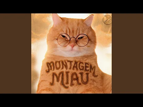 Video Thumbnail: MONTAGEM MIAU