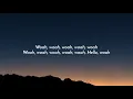 Doja Cat - Tia Tamera (Lyrics) Ft. Rico Nasty