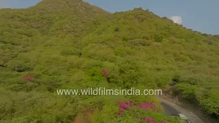 Gayatri Temple and winding hill roads in Pushkar, Rajasthan