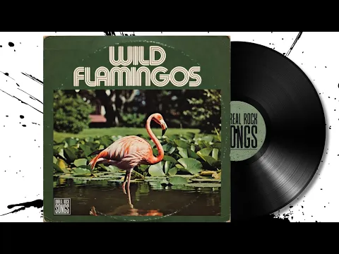 WILD FLAMINGOS – In My Head (Full Album) | 1968 Folk/Psychedelic Rock