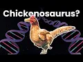 Download Lagu Gimana Cara Bikin Dinosaurus Dari Ayam? (Chickenosaurus Project)