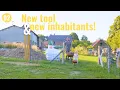 Download Lagu Creatief aan de slag met Creality, nieuwe bewoners en het mulchen van de moestuin! | #92