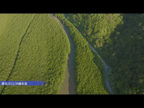 無人航空機2等免許取得！補助者有！イメージ動画の撮影、物件、ウェディングムービー