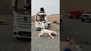 ريان غشاش يطرد القطة الجديدة              دندنها