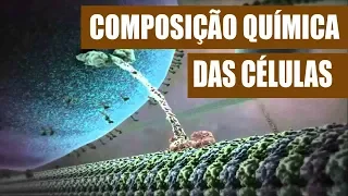 Composição química das células