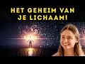 Lagu De WAARHEID over je lichaam: Wat CHRISTINA VON DREIEN onthult over je ZIEKTE.