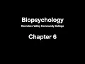 Biopsychology - Chapter 6