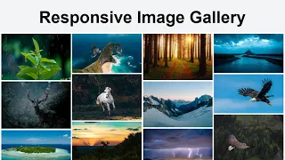 Create Responsive Image Gallery Using HTML CSS and JavaScript