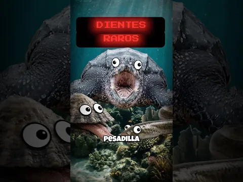 3 animales con dientes aterradores! #Shorts