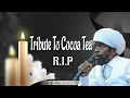 Download Lagu Cocoa Tea Tribute Mix | Best Of Cocoa Tea Greatest Hits | Cocoa Tea Mix | Calum beam intl