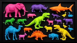 UNBELIEVABLE‼️Mainan Berlumpur Dinosaurus T-rex Stegosaurs Italian Brainrot TungTung Sahur Ikan Hias