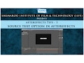AE Tip 1 Source Text Option in AFX