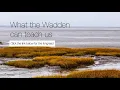 Download Lagu What the Wadden can teach us