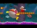 Super Mario Bros DS The New Worlds - 100 Walkthrough Part 5 Gameplay
