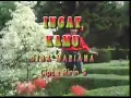 Download Lagu Dina Mariana - Ingat kamu