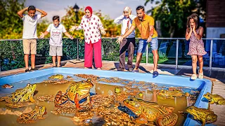 أنقذنا بيتنا من غزو الضفادع شوفوا ازاي انتصارنا عليهم عيشنا تجربة صعبة 