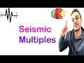 Seismic Multiple Types Characteristics Removal Techniques Deconvolution NMO SRME 2025