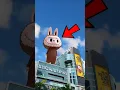 Why is The Labubu Toy So Popular