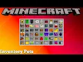 INVENTORY PETS MOD UPDATE - MINECRAFT 1 16 5 MOD SHOWCASE
