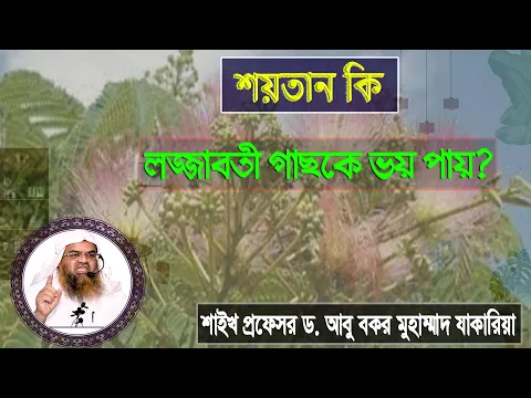প্রশ্ন : শয়তান কি লজ্জাবতী গাছকে ভয় পায়? শাইখ প্রফেসর ড. আবু বকর মুহাম্মাদ যাকারিয়া