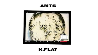 K.Flay - Ants (Official Audio)