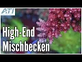 Download Lagu Das mega Becken von Riffblick - powered by ATI! | ATI Aquaristik
