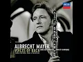 J.S. Bach: Concerto for Oboe d'amore (Arr. Tarkmann after BWV 209) - 1. Allegro