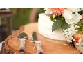 Ryan Ashley Chandler Wedding
