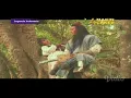 Download Lagu Legenda indonesia   Petualangan Mei shin
