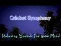 Download Lagu 🎧 SUARA ALAM untuk Relaksasi, Meditasi \u0026 Tidur... Suara Jangkrik Malam Hari
