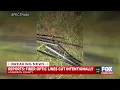 Sheriff s office investigating after fiber optic lines cut in Anderson Co
