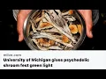 ENTHEOFEST 2022 in Ann Arbor at the UNIVERSITY of MICHIGAN
