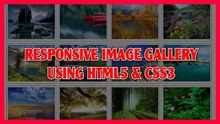 Responsive Image Gallery Using HTML5 CSS3 Pure CSS3 Image Gallery