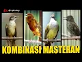 Download Lagu MASTERAN KAPAS TEMBAK - KENARI - JENGGOT - SIRI SIRI | JEDA 1 MENIT