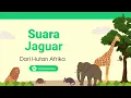 Download Lagu Suara Jaguar Mengaum | Suara Hewan