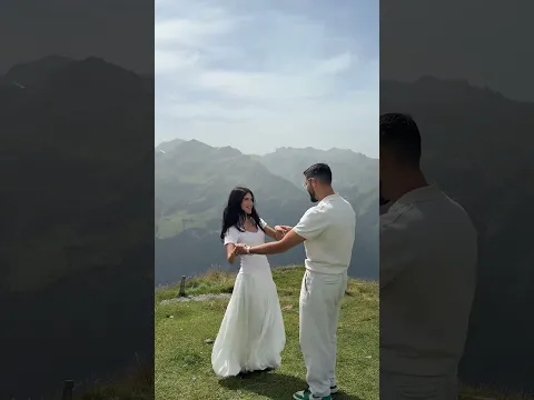 🐄🐮