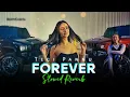 FOREVER - Prem Lata and Tegi Pannu song slowed Reverb by BantyCheeta