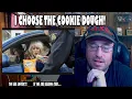 What does a pot sobriety test look like SATIRE REACTION