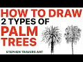 You Can Draw Palm Trees That Look Real