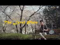 The Level Plain(Magh Seola) Irish Whistle Spring Cover / 아이리시 휘슬