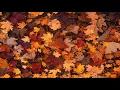 karaoke/thaisub : vibe (바이브) - fall in fall (가을 타나 봐)