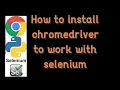 how to install chromedriver and selenium
