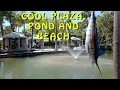HILTON HEAD ISLAND BEACH AND COLIGNY PLAZA - Food Music and More