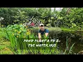 Pond plant A to Z The Iris
