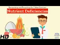 Nutrient Deficiencies Recognizing and Preventing the 7 Most Common Deficits