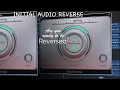 Initial Reverse - VST AU Plugin