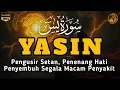 Surah Yasin Pengusir Setan dan Penyembuh Segala Macam Penyakit, Ngaji Merdu | By : Alaa Aqel